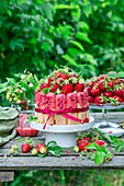 Erdbeer-Tiramisu-Torte mit rosa Schokolade und gefriergetrockneten Erdbeeren