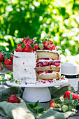 Strawberry vanilla cake with mascarpone cream and strawberry jelly