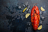Boiled cooked red whole lobster with lemon wedges and ice cubes