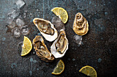 Frische Austern serviert mit Zitronenspalten und Eiswürfeln