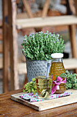 Flowering thyme and homemade thyme syrup