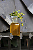 Homemade thyme liniment (for joint pain)