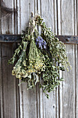 Dried bouquets of medicinal herbs