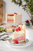 A slice of raspberry-eggnog charlotte with sponge cake bases