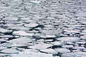 Pack ice in Disko Bay, Ilulissat, Greenland