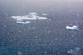 Snow storm in Disko Bay, Ilulissat, Greenland