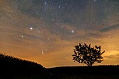 Perseid Meteor and Pleiades, Upper Austria