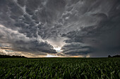Supercell thunderstorm and mammatus clouds in Kansas, USA