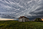 Mammatus clouds over abandoned farmstead, North Dakota, USA