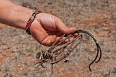 Person holding a poacher's snare
