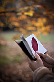 Woman placing autumn leaf in notebook