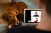 Man with dog video chatting on laptop screen