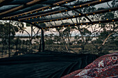 Glamping screened tent in Australian bush