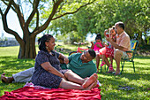 Happy multigenerational family relaxing in park