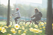 Teen friends riding bicycles in sunny park