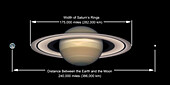 Width of Saturn’s rings, illustration