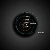 Solar System and the Kuiper belt, illustration