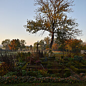 Country garden with box hedge borders in autumn