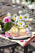 Lip balm made from rose oil extract and rose honey
