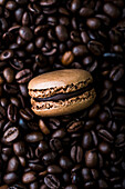 A chocolate macaroon on coffee beans