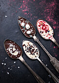 Chocolate spoon with toppings