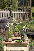 Bouquets of checkerboard flowers, grape hyacinths, cone flowers and snowdrops