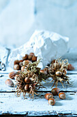 Fresh hazelnuts in shells