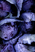 Many Whole Red Cabbage
