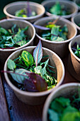 Fresh herbs in small bowls