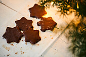 Aloe Vera Chocolate Stars for Christmas