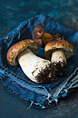 Fresh porcini mushrooms on denim