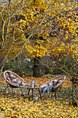 Sitzplatz unter Ahornbaum im herbstlichen Garten