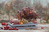 Wooden box with autumn bouquet of sedum, rose hips 'Rosa multiflora' and a candle