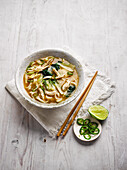 Chicken and noodle broth (Asia)