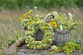 Sommerkranz, Material auf einen Strohrömer gebunden (Hortensien, Mohnkapseln, Rainfarn, Wilde Möhre)