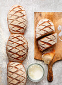 Buttermilk wheat sourdough bread