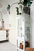 Glass cabinet and green plant in modern bathroom