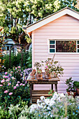 Rustic planting table in flowering garden with pink wooden house