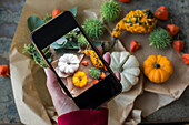 Autumnal decoration, ornamental pumpkins, woman taking photo with smartphone