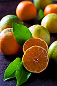 Organic tangerines and lemons on dark background