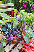 Close-up of vegetables in basket over table at garden