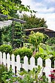 View over white fence to small city garden