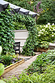 Pergola overgrown with climbing plants, hydrangea 'Limelight' in the background