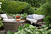Sitting area in the garden, framed by hedges and shrubs