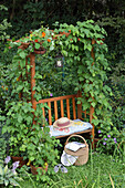 DIY arbour with struts for climbing plants in garden