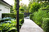 Wooden terrace with funkia, elephant grass and hedges in the background