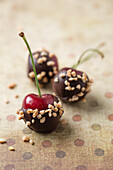 Close-up of chocolate covered cherries and hazelnut brittle on spoon