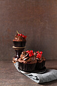 Studioaufnahme von Schokoladen-Cupcakes mit Beeren der roten Johannisbeere