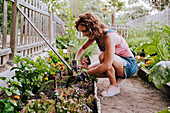 Smiling mid adult woman collecting vegetables from raised bed in community garden