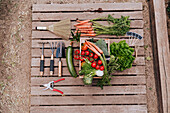 Various vegetables with gardening equipment on wood in community garden